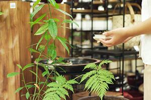 デザイナーズ家具の魅力を引き出す！おしゃれなインテリア作りの秘訣とは