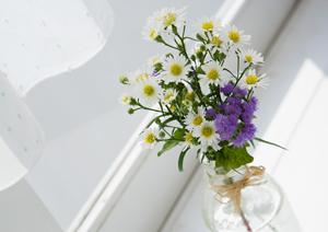 壮大な一枚板の販売とテーブルを作る会社