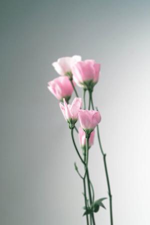 美術工芸品修理の依頼をするなら