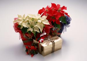 お客さんの年齢層に合わせた店舗改装