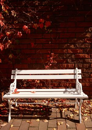 モダンテイストな建具制作を行う会社