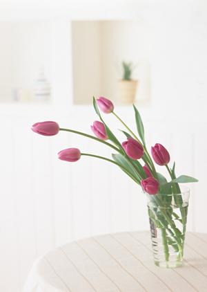 東京で見つける理想のオーダーテーブル！家族のライフスタイルに合わせた選び方ガイド