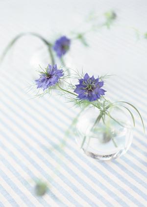 玄関のドアを交換したくなったら