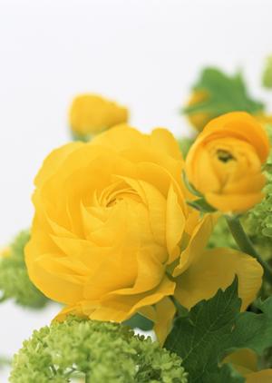 大阪HDCショールーム｜タカラスタンダードの最新設備とデザインを体験できるショールームの魅力