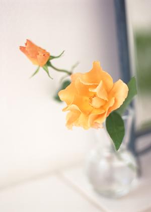 通販ショップ「MARIKO」の概要