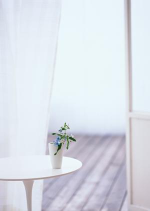 神奈川県横浜市の最大規模ショールーム「タカラスタンダード横浜ショールーム」の全貌と特徴紹介