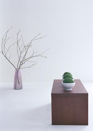 オフィスにグリーンを取り入れ癒し空間を